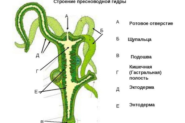 Площадка кракен kraken clear com