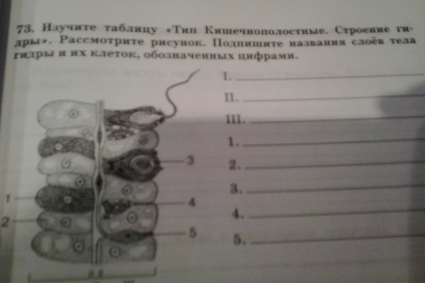 Тор для кракена