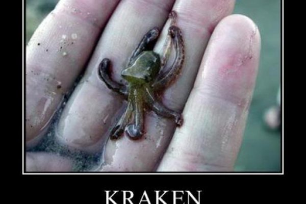 Kraken ссылка зеркало официальный