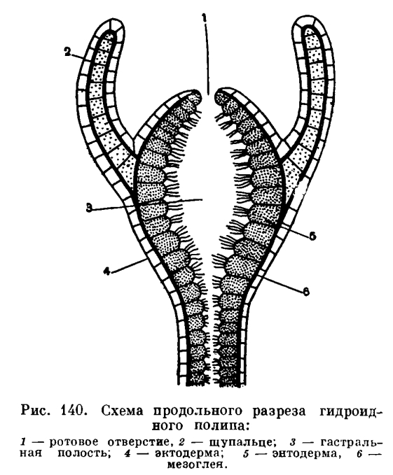 Кракен адрес даркнет