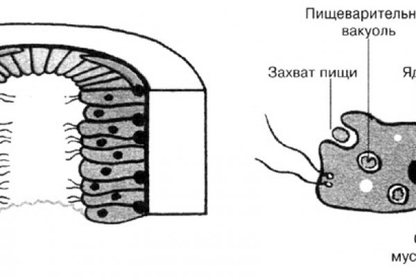 Ссылки даркнета